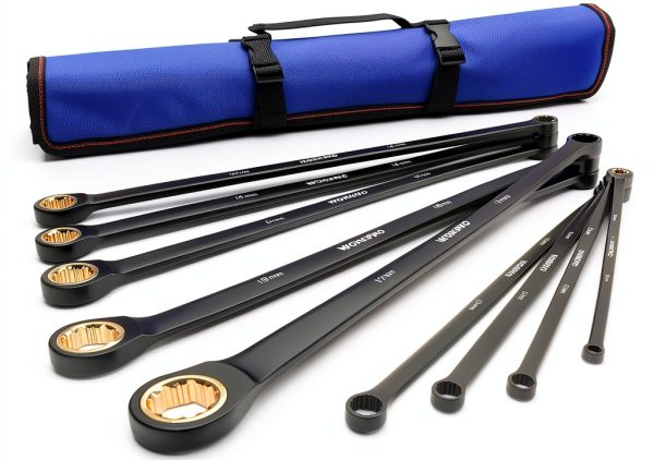 WORKPRO Extra Long Ratcheting Wrench Set, 10-Piece Anti-Slip Double Box Wrenches Set, Metric 8-19 mm, 72-Teeth, Cr-V Steel and Black Electrophoretic Coating Wrenches with Rolling Pouch-0